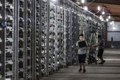 Large scale mining farm showcasing diverse mining machines